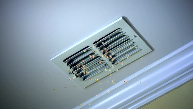 Best Air Duct Cleaning Company Near Me  in Seat Pleasant, MD
